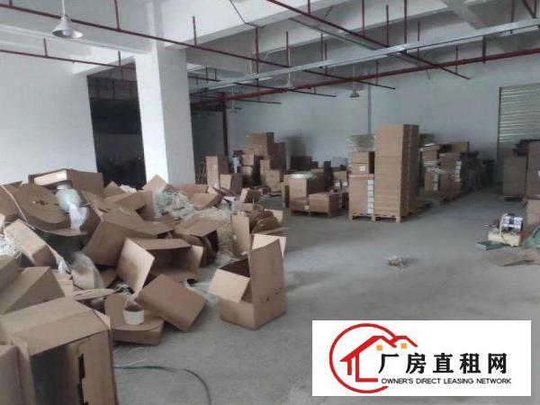  石碣桔洲原房东，一楼800平厂房招租，无公摊！