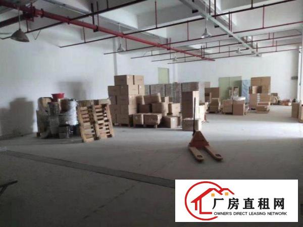  石碣桔洲原房东，一楼800平厂房招租，无公摊！