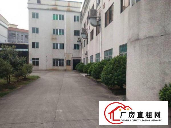  石碣涌口免租期一楼厂房500平出租，原房东，可办环评
