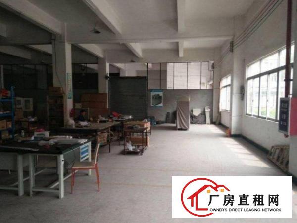  石碣涌口免租期一楼厂房500平出租，原房东，可办环评
