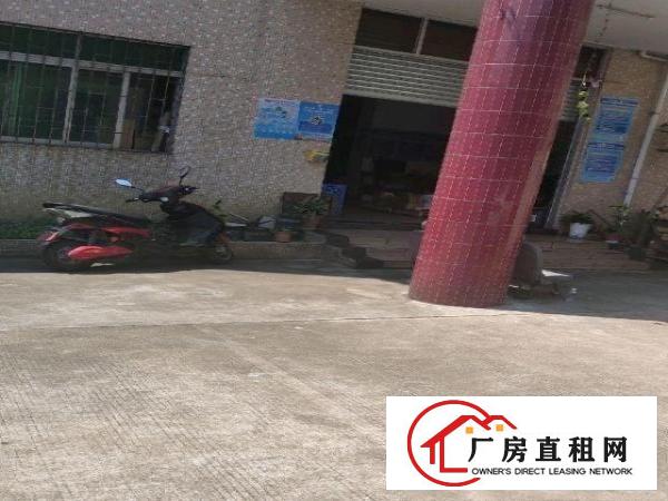  独门独院独栋村委厂房转租