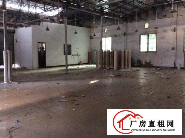  石碣原房东独门独院3000平方厂房出租