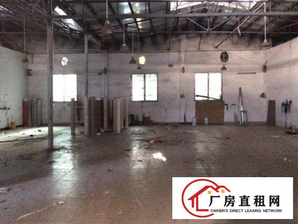  石碣原房东独门独院3000平方厂房出租