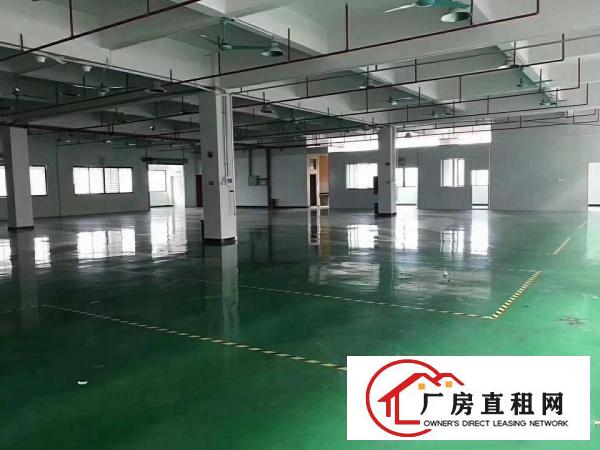  石碣三村标准一楼2000方（环城路外好办环评）