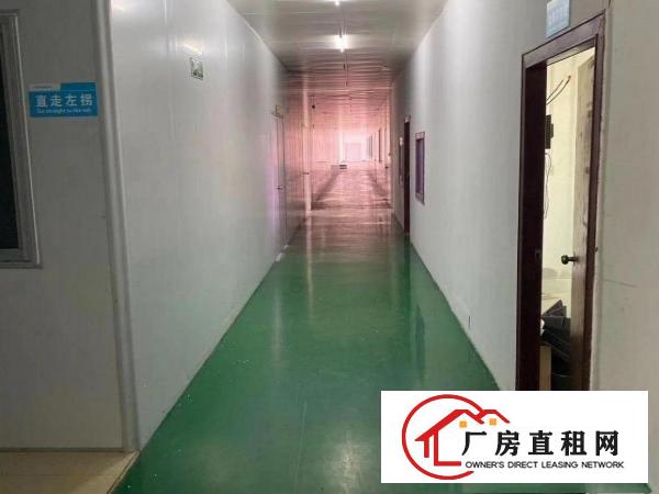  石碣三村标准一楼2000方（环城路外好办环评）