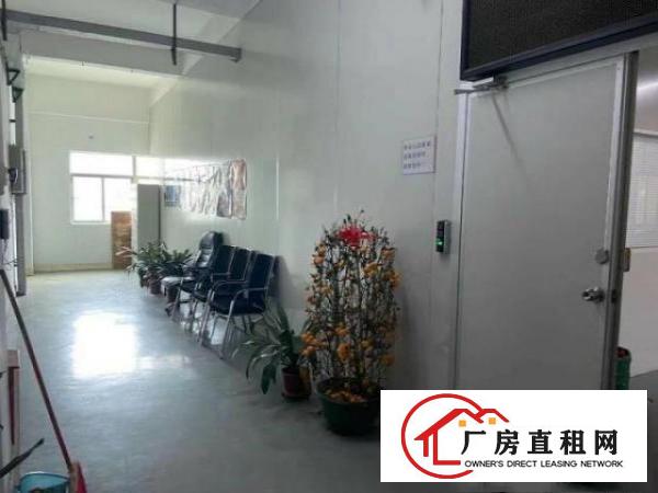  石碣沙腰独院厂房新出无尘车间800平方，口罩医疗器械！