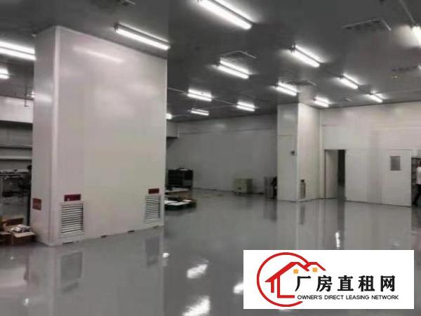  石碣沙腰独院厂房新出无尘车间800平方，口罩医疗器械！