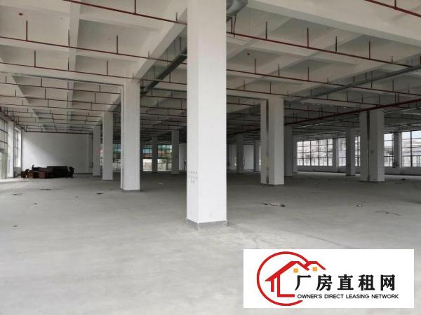  石碣沙腰标准一楼1000方（工业用地好办环评）