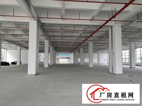  石碣沙腰标准一楼1000方（工业用地好办环评）