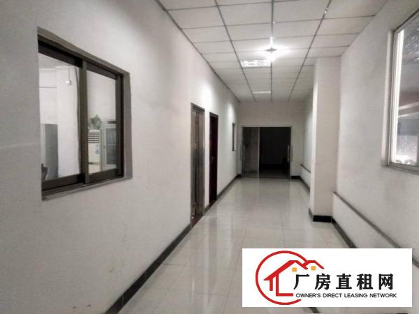  石碣沙腰标准一楼1000方（工业用地好办环评）