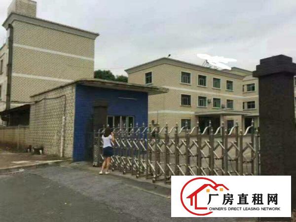  石碣四甲村标准一楼1200方现成装修可办环评