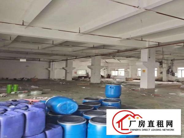  石碣交界石龙处工业区独院一楼1500方5米高带牛腿电大电便宜