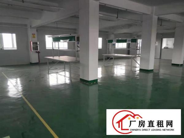  业主直租花园产业园580平米现成装修出租可分租