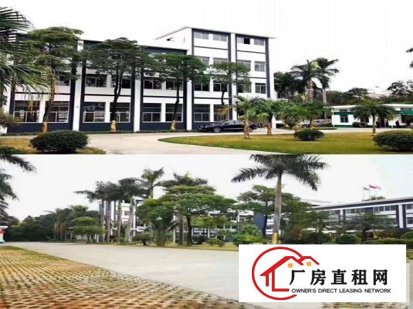  石碣镇独院工业区私人村委会厂房招租形象好空地大大小可租原房东