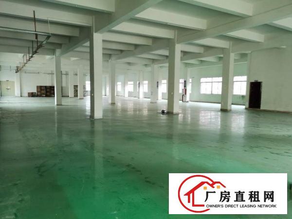  石碣镇工业区独院厂房3楼2000方现成装修形象好可办环评