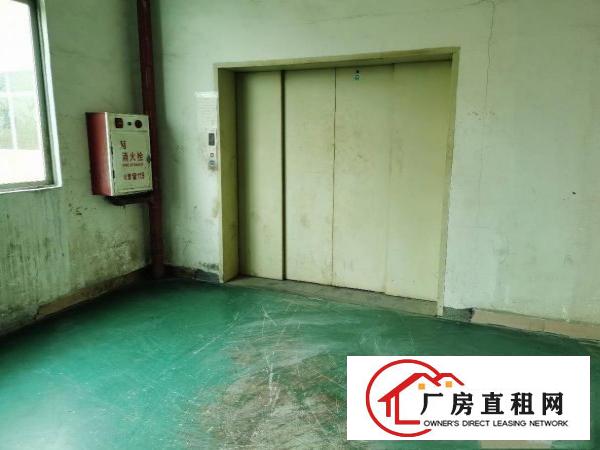  石碣镇工业区独院厂房3楼2000方现成装修形象好可办环评