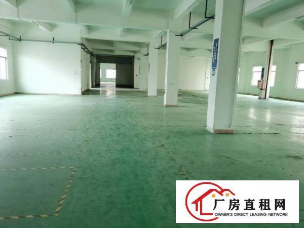  石碣镇工业区独院厂房3楼2000方现成装修形象好可办环评