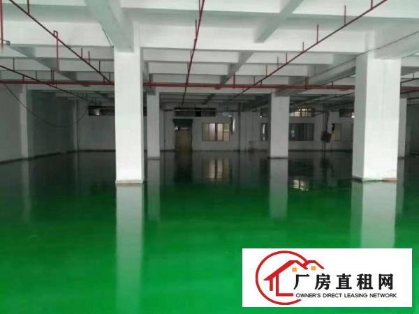  石碣镇独院厂房3楼2500方4楼2500方全新地坪漆可分租