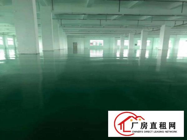  石碣镇独院厂房3楼2500方4楼2500方全新地坪漆可分租