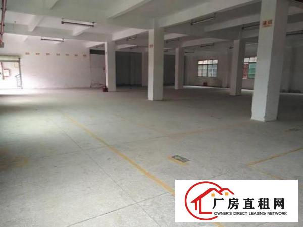  石碣桔洲一手房东招租一楼600平方，现成装修！