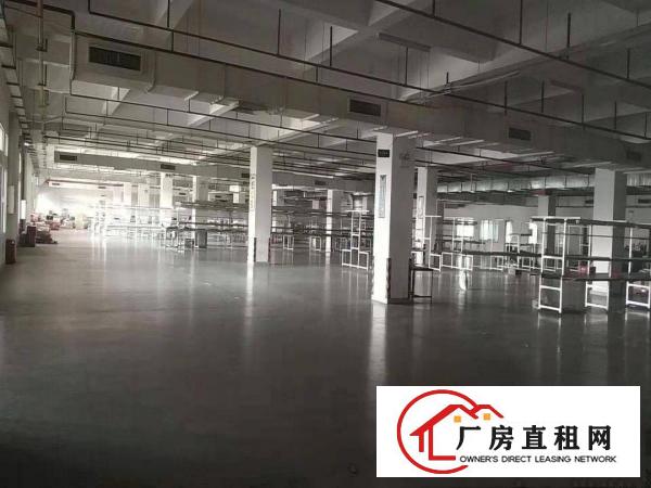  石碣新出原房东花园式厂房分租2楼1800平方带地皮漆