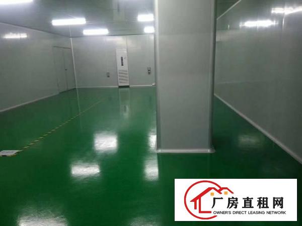  石碣新出楼上900平出租现成千级无尘车间入驻可直接生产