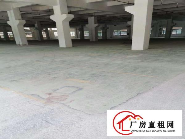  石碣横滘招租标准独院厂房一楼1000平方，层高6米！