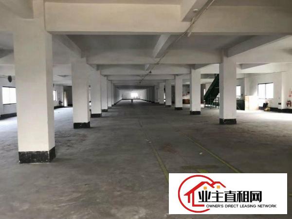  石碣四甲标准独园厂房可分租位置优美。周边配套齐全。