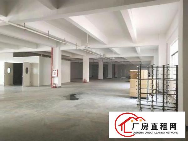  石碣西南现有标准独院厂房一楼400平方火热招租