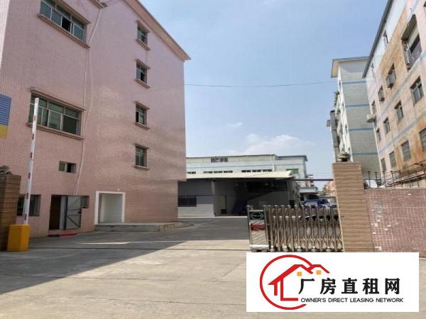  石碣村委独院分租带地坪漆装修厂房出租