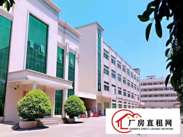  石碣镇新出原房东标准厂房一楼出租500平方，租16元