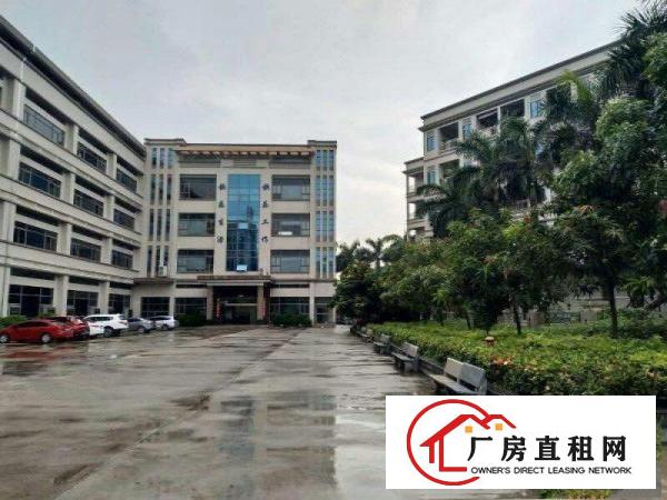  石碣横滘标准厂房一楼750方（院子大可办环评）