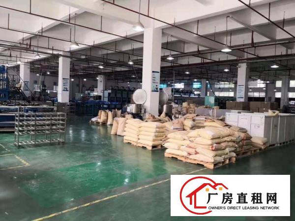  石碣横滘标准厂房一楼750方（院子大可办环评）
