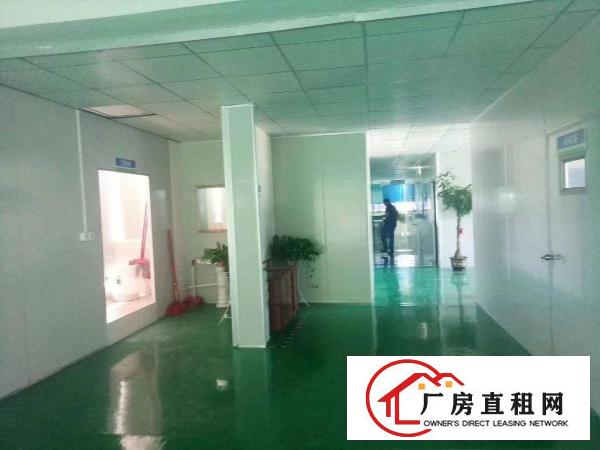  石碣横滘标准厂房一楼750方（院子大可办环评）