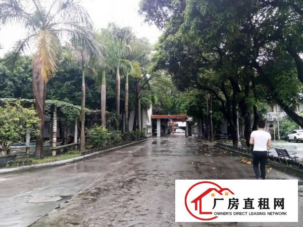  石碣镇厂房招租钢构厂房12米高厂房招租带行车