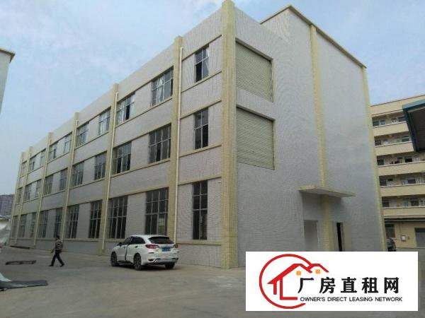  石碣刘屋三楼1600方（现成精装修可办环评）