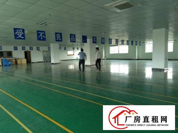  石碣刘屋三楼1600方（现成精装修可办环评）