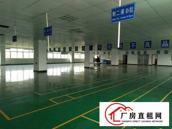  石碣刘屋三楼1600方（现成精装修可办环评）