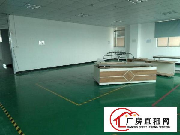  石碣刘屋三楼1600方（现成精装修可办环评）