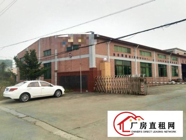  石碣桔州单一层独院厂房1500方（无公摊好办环评）