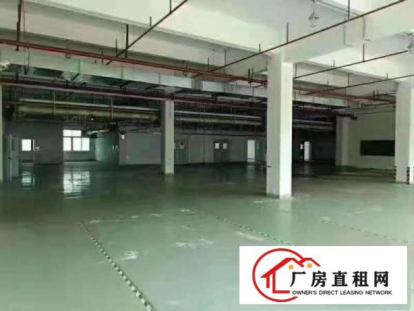  石碣涌口标准一楼560方（无公摊好办环评）