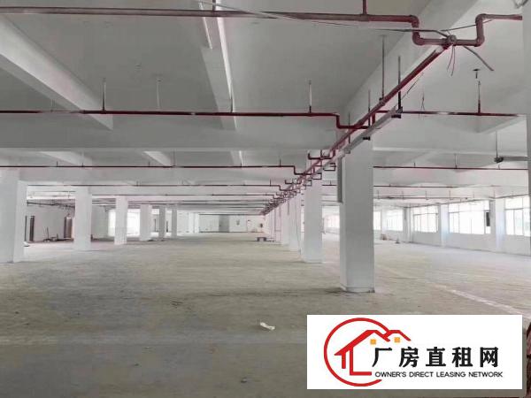  石碣镇独院厂房二楼1650方现成装修水电齐全位置好招工方便