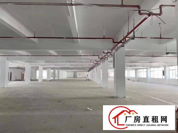  石碣镇独院厂房二楼1650方现成装修水电齐全位置好招工方便