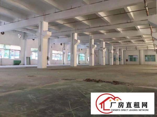  石碣镇新出原房东花园式独院厂房13000平米