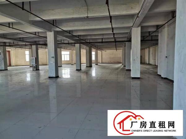  石碣业主标准工业区厂房出租一楼8700方，二楼6000方。