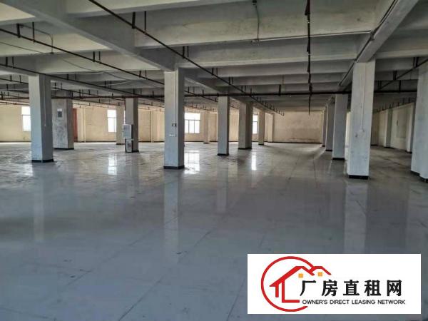  石碣业主标准工业区厂房出租一楼8700方，二楼6000方。