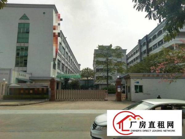  石碣梁家村独院4600方（可分租无公摊可办环评）