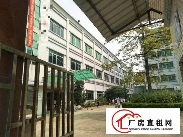  石碣梁家村独院4600方（可分租无公摊可办环评）
