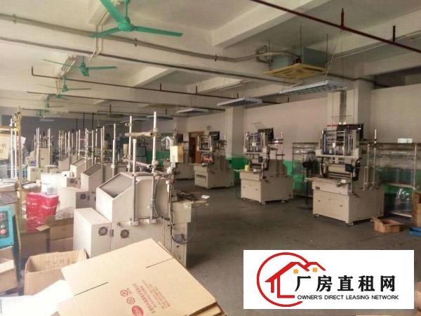  石碣梁家村独院4600方（可分租无公摊可办环评）