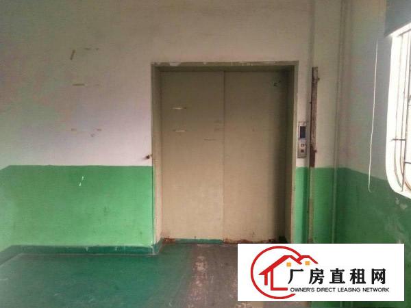  石碣梁家村独院4600方（可分租无公摊可办环评）